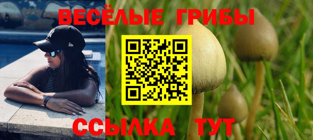Псилоцибиновые грибы GOLDEN TEACHER  Псилоцибиновые грибы мухоморы  Советский  Вход с VPN 